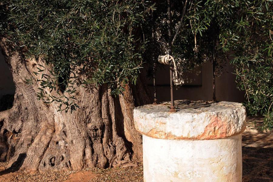 Masseria Torre Del Diamante Торе Кане Екстериор снимка