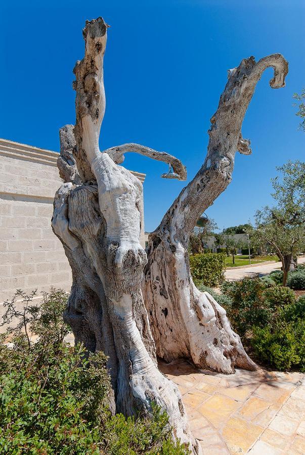 Masseria Torre Del Diamante Торе Кане Екстериор снимка