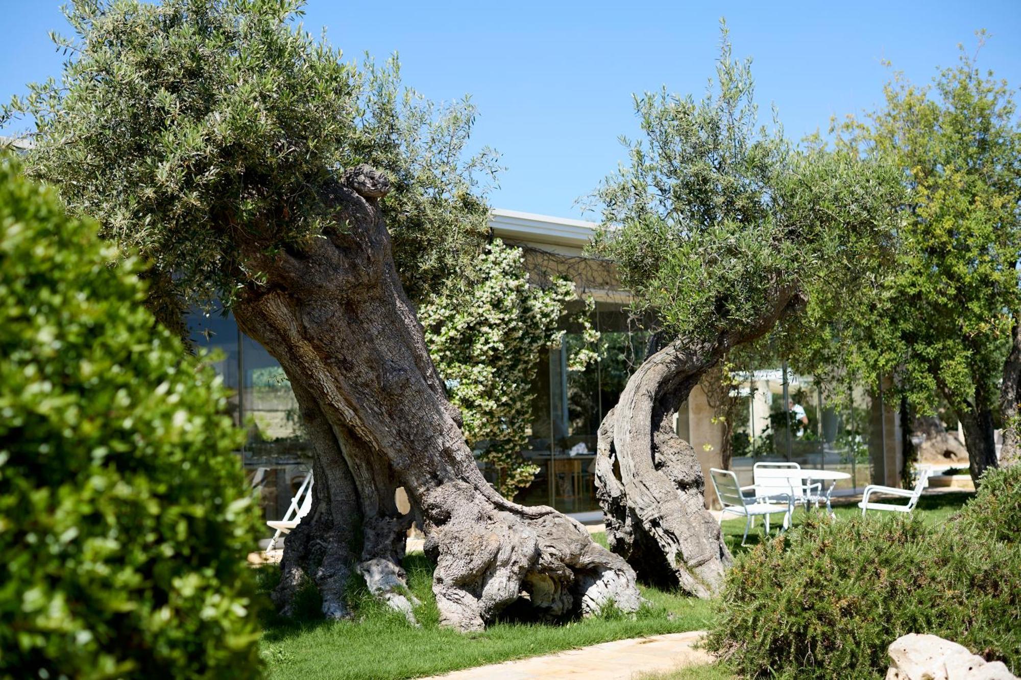 Masseria Torre Del Diamante Торе Кане Екстериор снимка