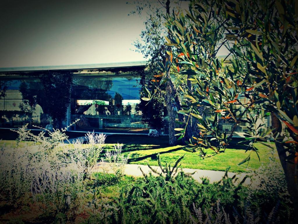 Masseria Torre Del Diamante Торе Кане Екстериор снимка