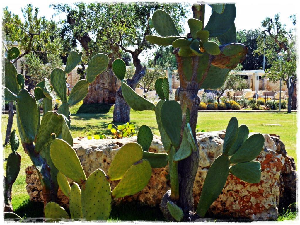Masseria Torre Del Diamante Торе Кане Екстериор снимка